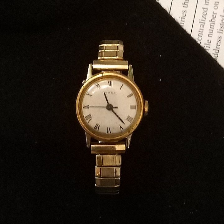Timex Gold And White Roman Numeral Wristwatch